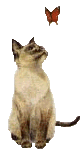 Image Name